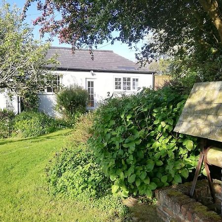 Cozy Country Cottage With Beautiful Rural Views Ньюкі Екстер'єр фото